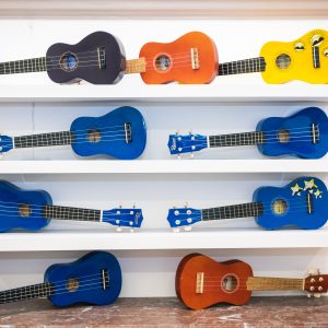 Rows of guitars on shelves